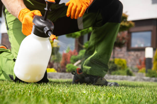 Best Bed Bug Extermination  in South Bend, IN