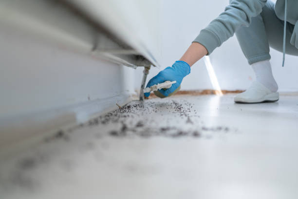 Pest Prevention Services in South Bend, IN