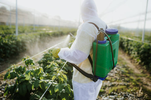  South Bend, IN Pest Control Pros